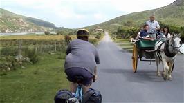 A horse and cart takes tourists along the Gap of Dunloe